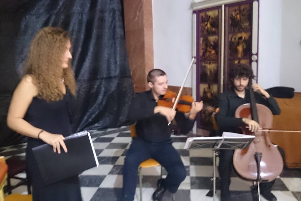Cello violín soprano (Orihuela)