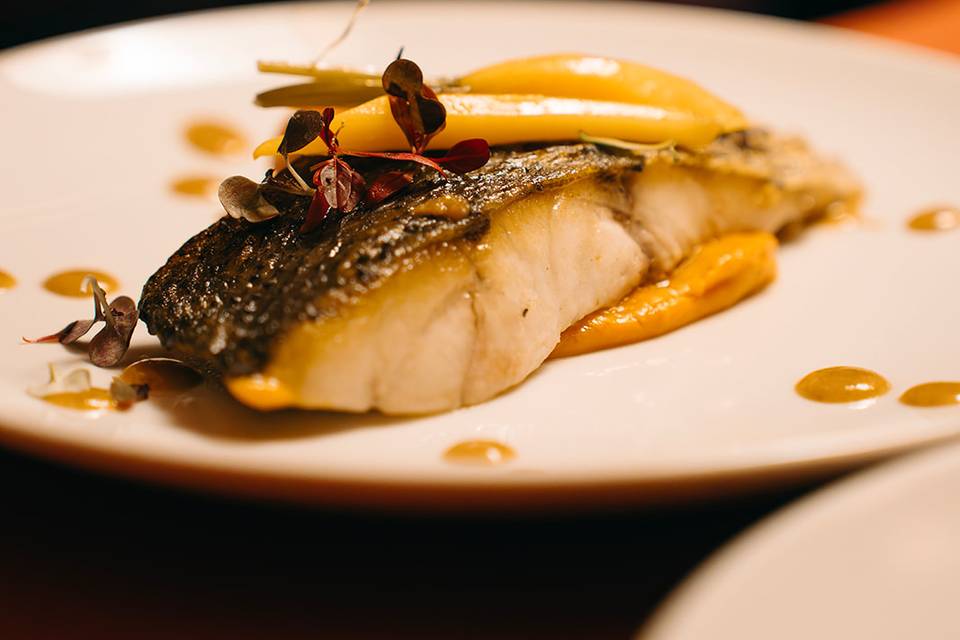 Corvina
