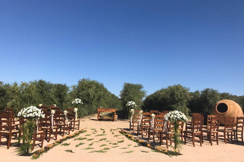 Ceremonia entre olivos