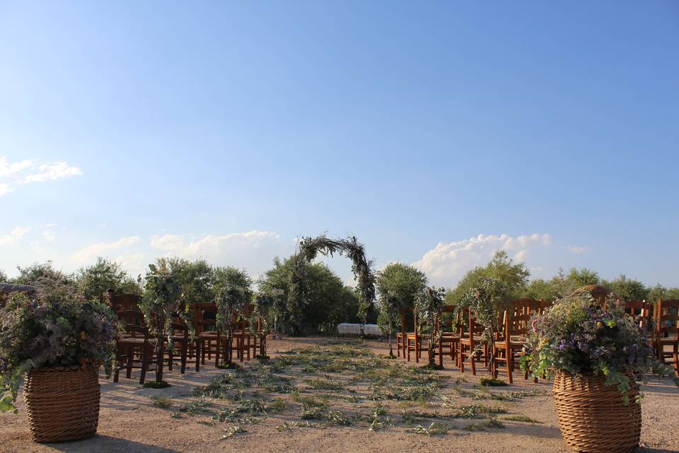 Ceremonia entre olivos