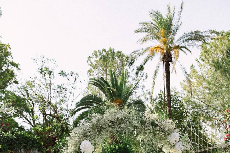 Arcofloral