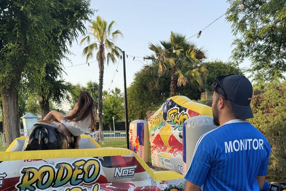 Toro mecánico