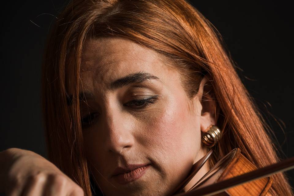 Viola