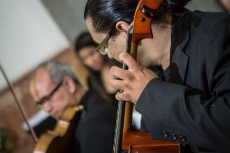 Violoncello