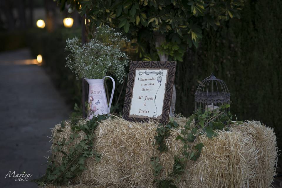 Bienvenida boda