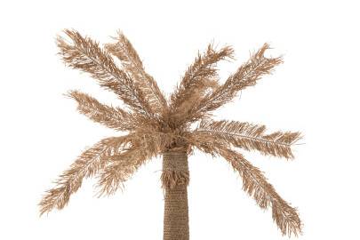 Palmera