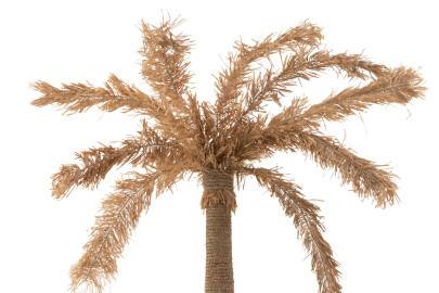 Palmera