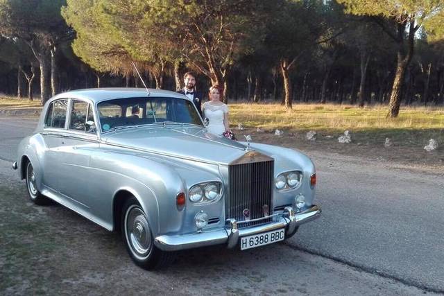 Elegancia