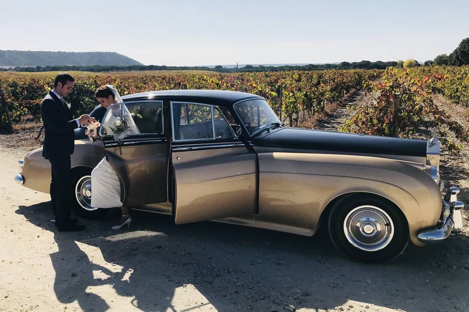 Viñedo