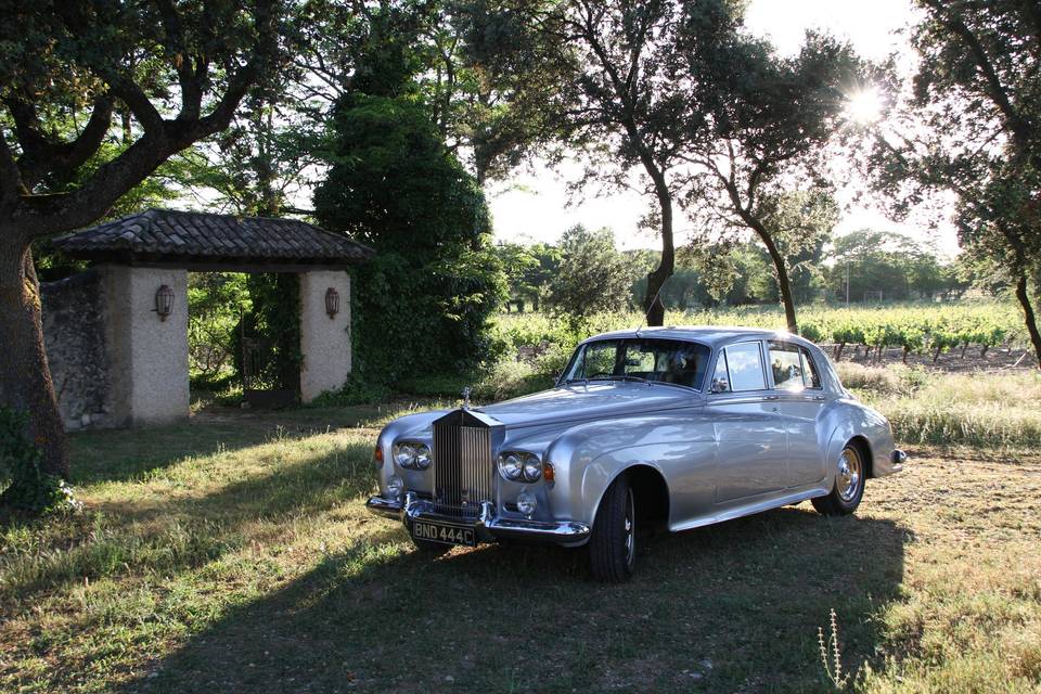 Silver Cloud III