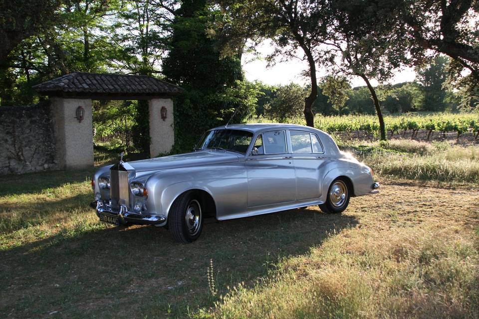 Silver Cloud III