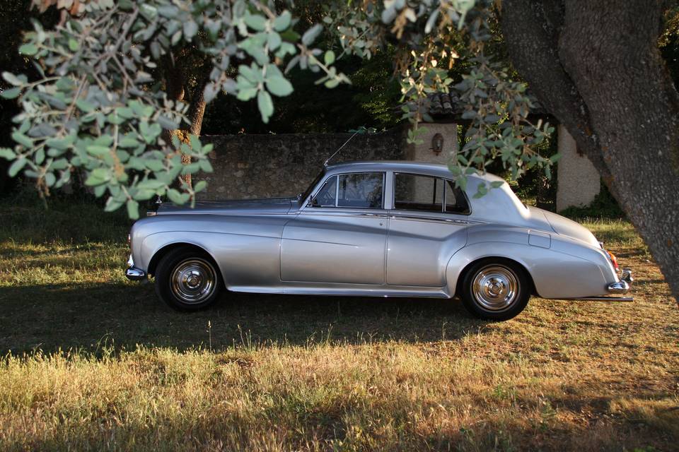 Silver Cloud III