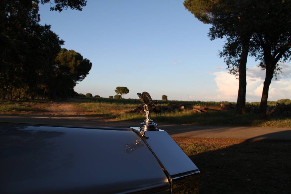 Atardecer