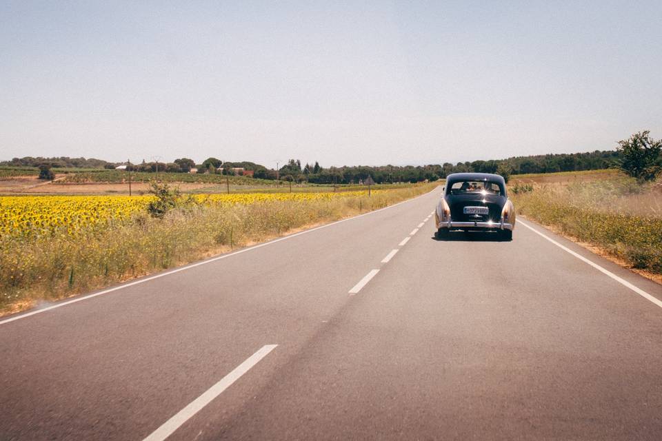 Carretera