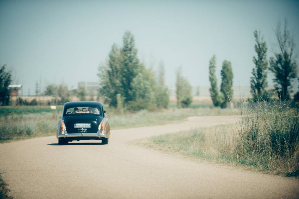 Lejania Silver Cloud II