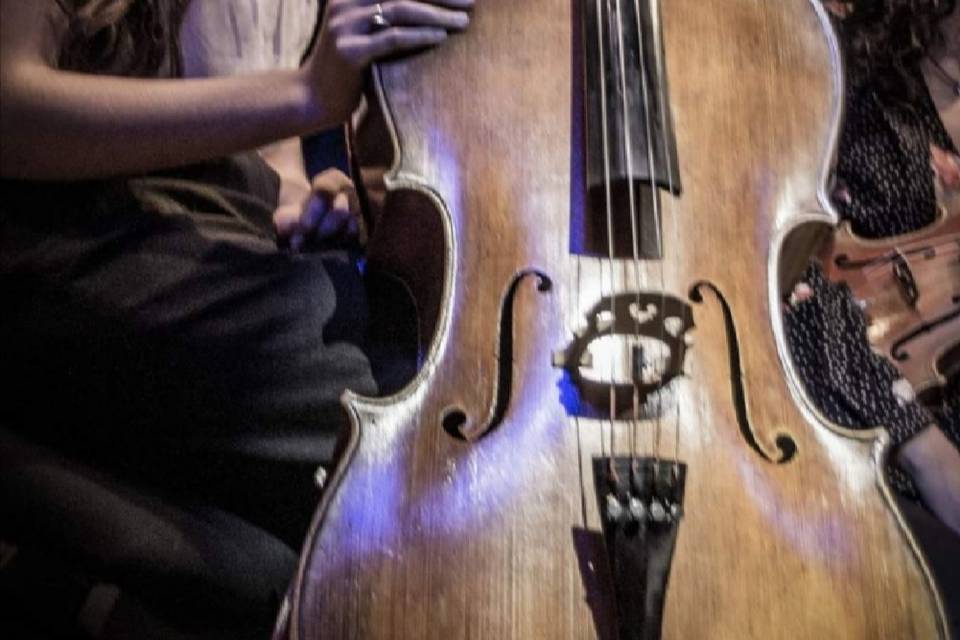 Cello