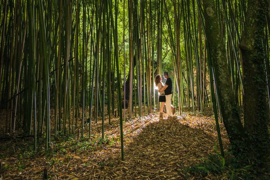 Preboda cariñosa