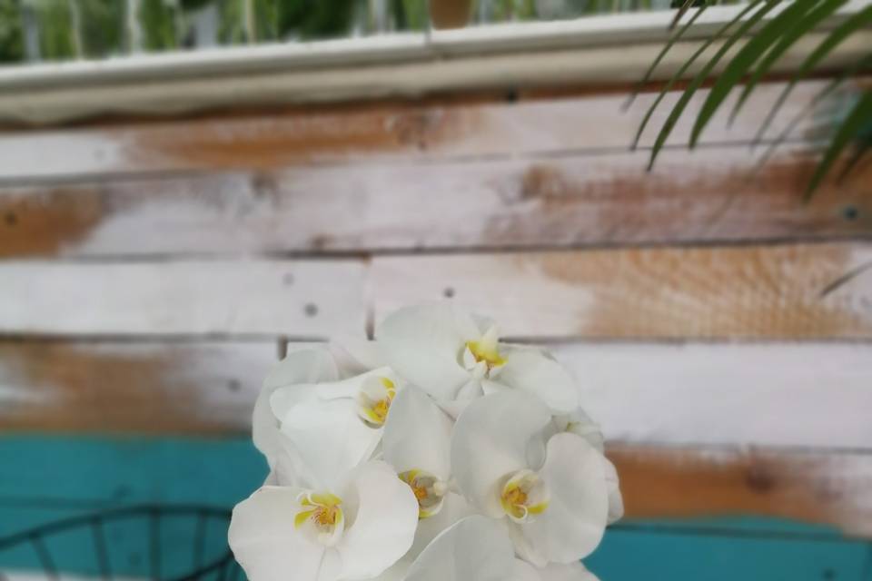 Ramo de orquídeas