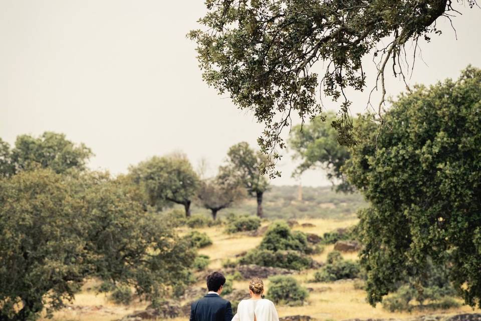 Paseo por la dehesa