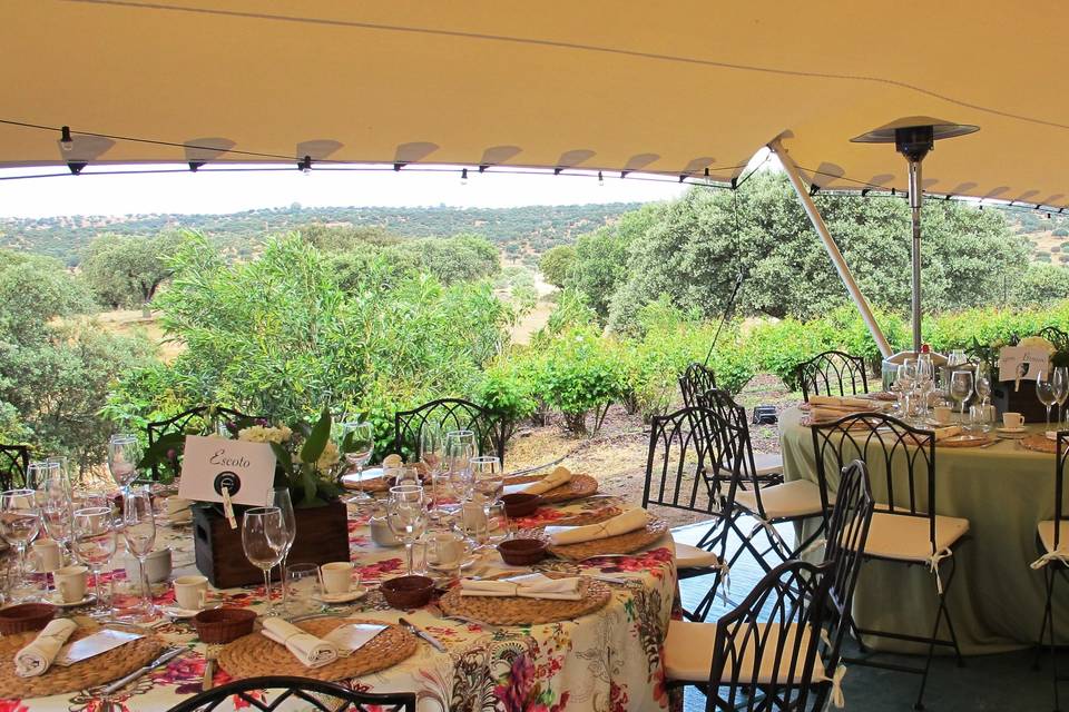 Almuerzo y vistas