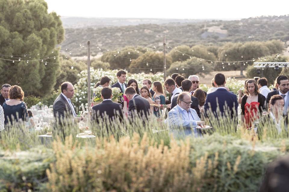 Aperitivo en el campo