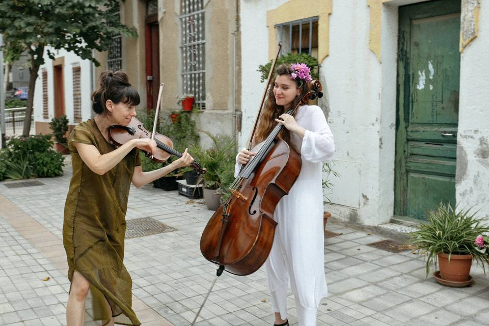 Cello i violín