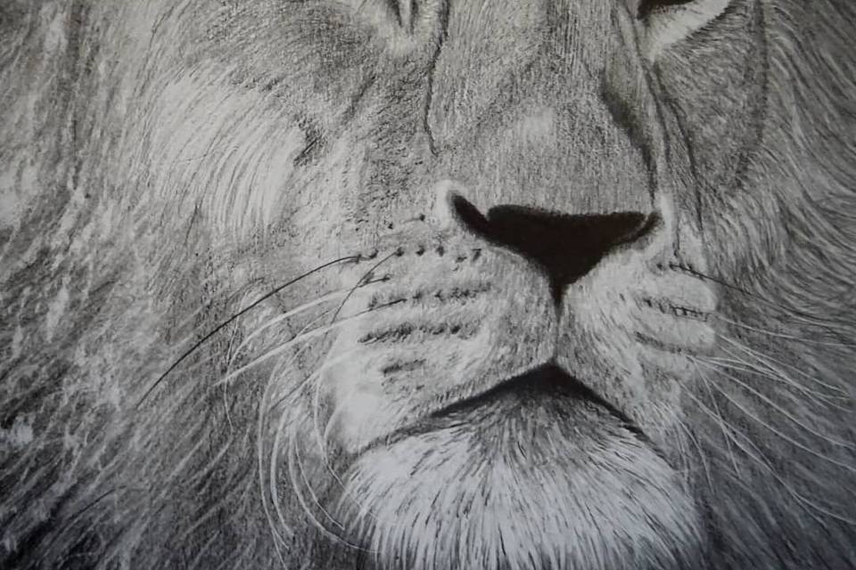 Retrato león