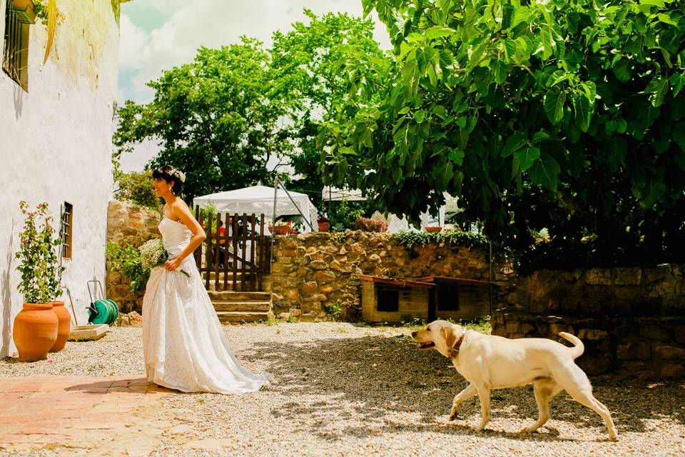 Milu | Boda Girona