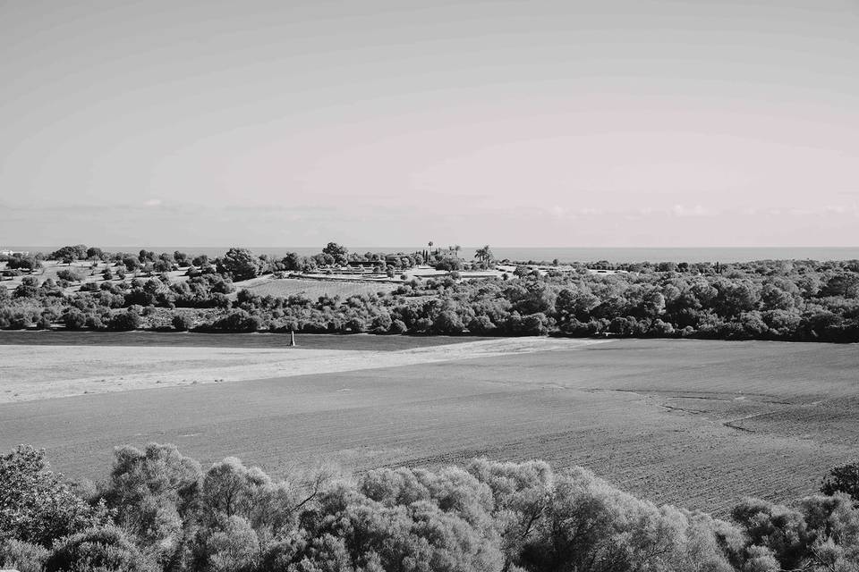 Vistas
