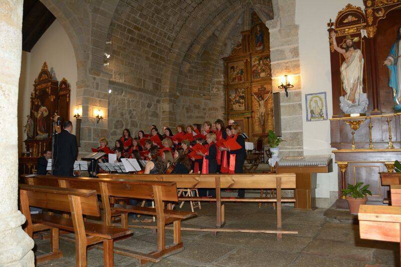 Grupo Consort