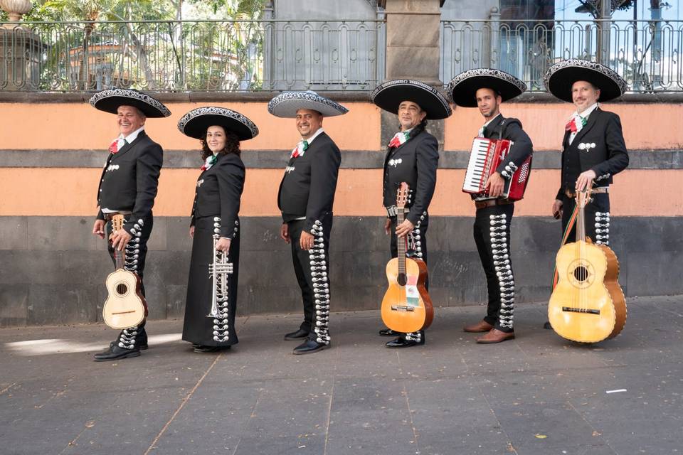 Música en directo para tu boda