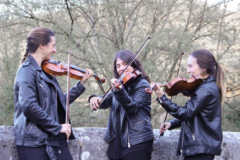 El Cuarteto de Cinco