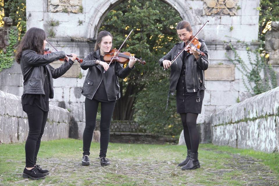 El Cuarteto de Cinco