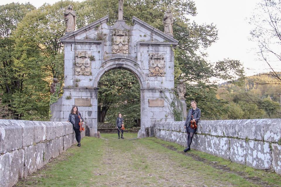 El Cuarteto de Cinco