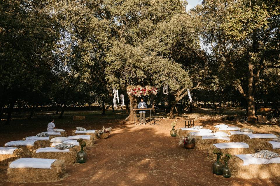 Entrada a la ceremonia