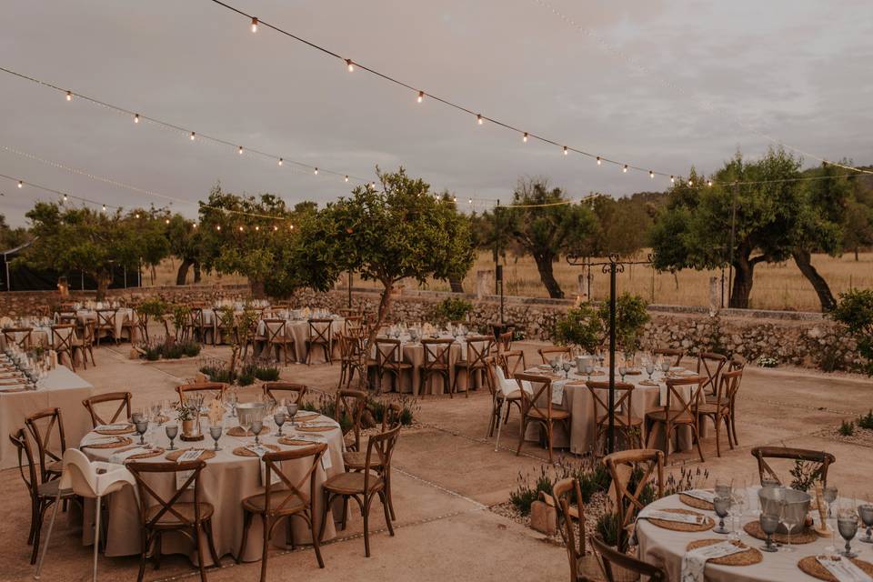 Banquete en patio naranjos