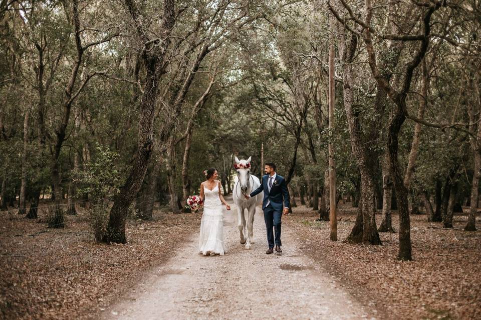 Shooting de recién casados