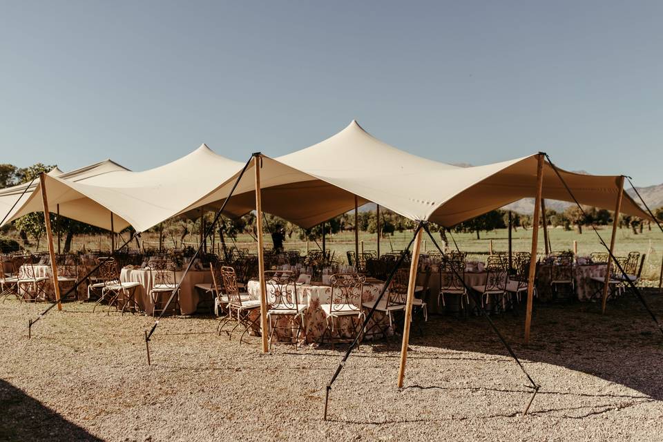 Banquete en bosque