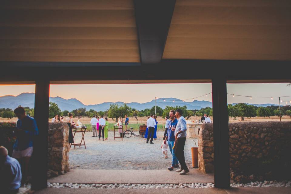 Aperitivo en tramuntana