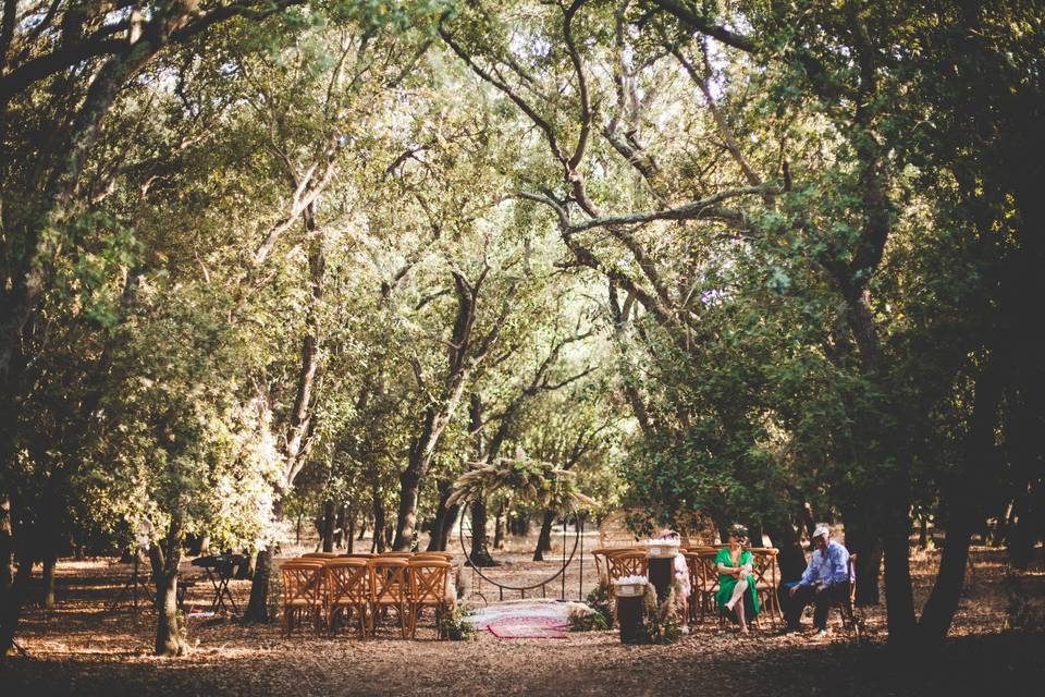 Ceremonia bosque