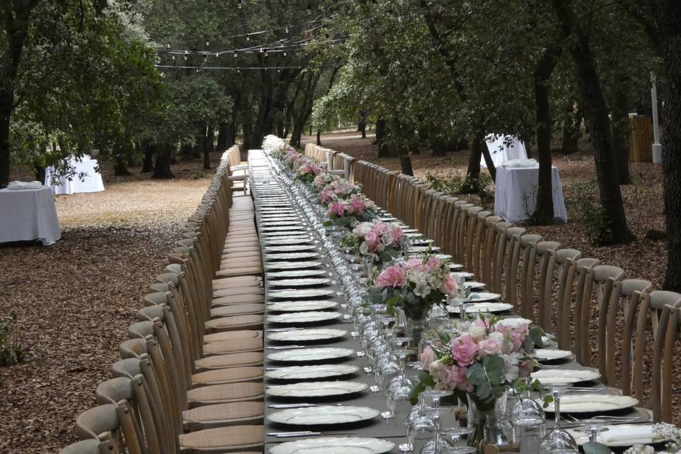 Banquete en bosque