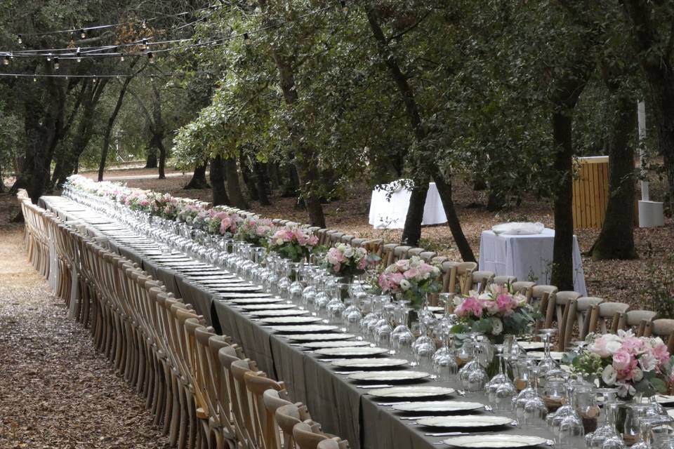 Banquete en bosque