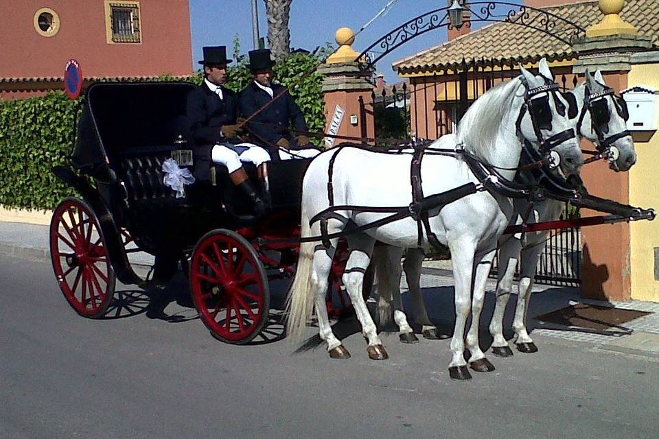 Jose Atalaya - Coches de caballos