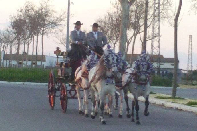 Jose Atalaya - Coches de caballos