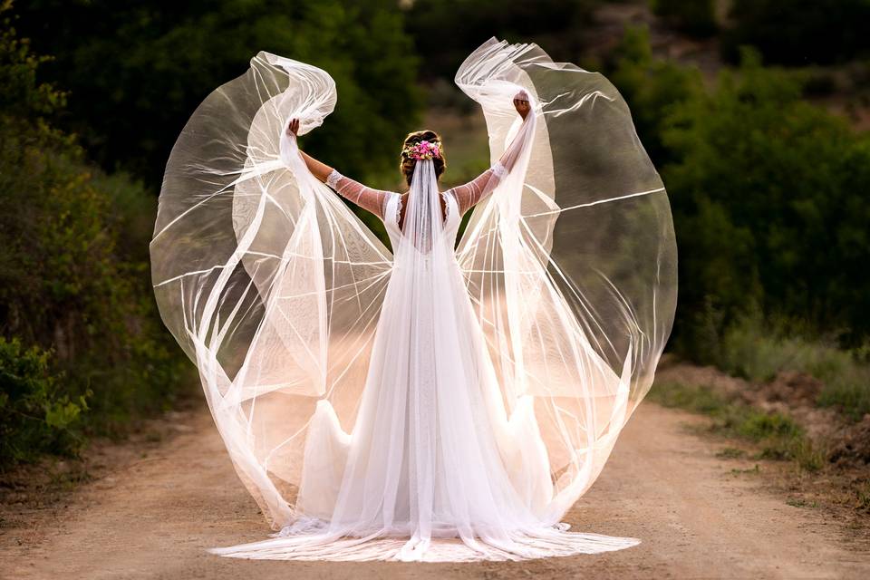 Mariposa al viento