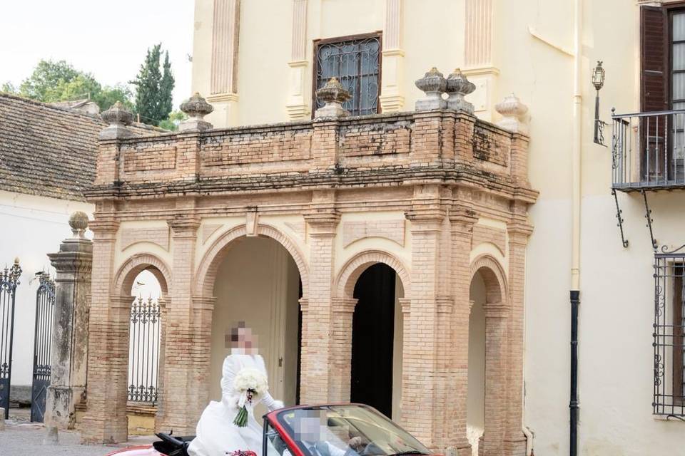 Sin techo, sin límites❤️