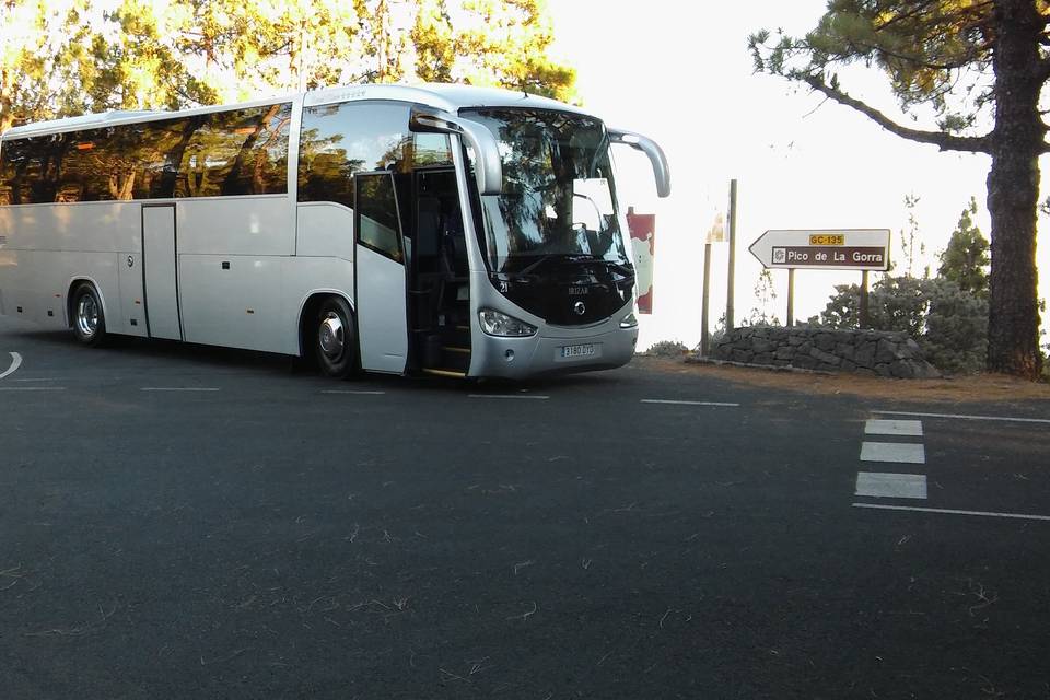 Martín Suárez Bus