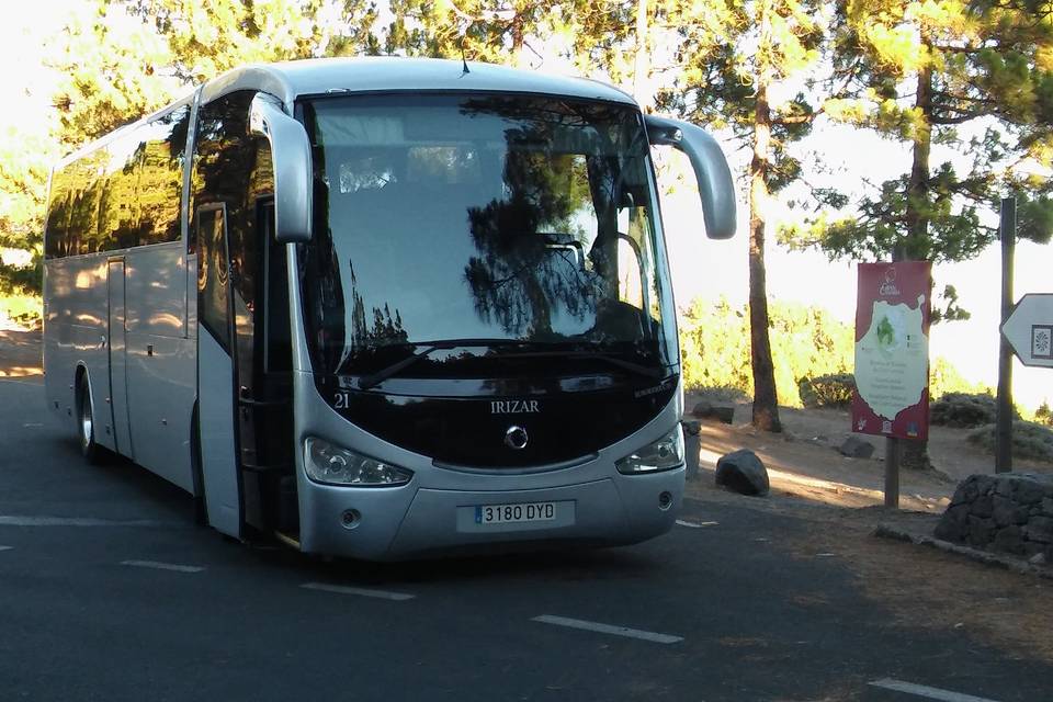 Martín Suárez Bus