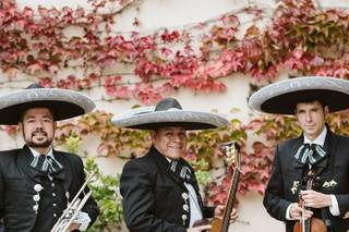 Mariachi Mexicano Tierra de Oro