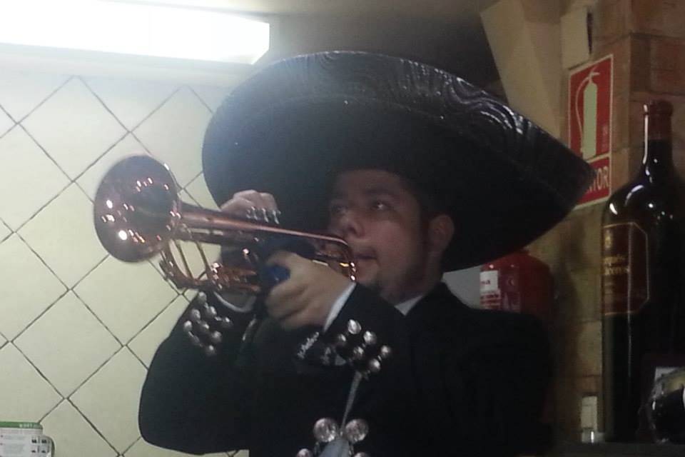 Mariachi Mexicano Tierra de Oro